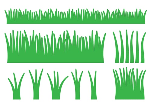 green lawn grass hay texture illustration. Natural, organic, bio, eco label and shape on white background. Ground land pattern. vector