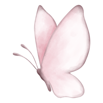 cute Watercolor butterfly illustration png