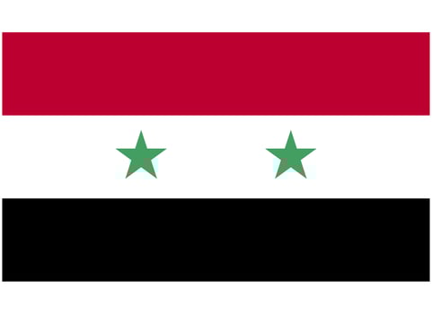 Syria National Flag vector
