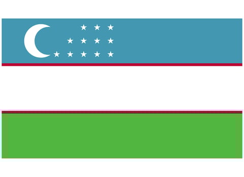 Uzbekistan National Flag vector