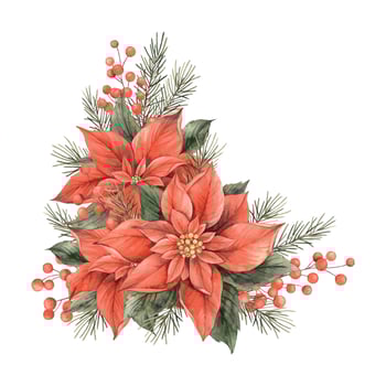Poinsettia, Christmas red flower, fir branches and red berries. Watercolor botanical bouquet drawn by hand in a holiday style. For Christmas and New Year holidays, invitations, cards, banners. vector