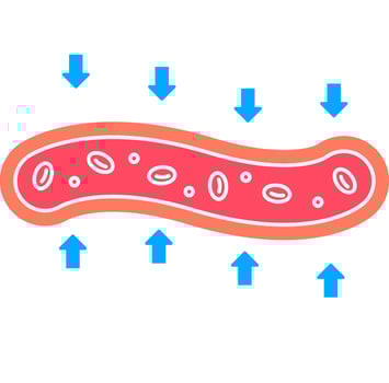 Thermoregulation Vessel Icon vector