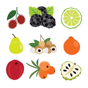 Tropical and Seasonal Fruit Collection vector