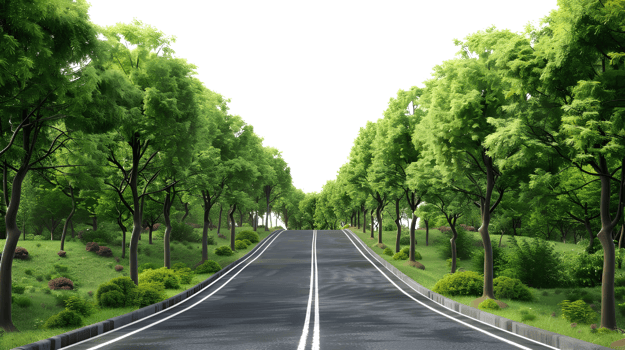 Straight Road with Trees Isolated on Transparent Background png