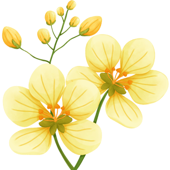 yellow flower painting png