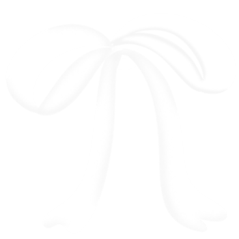 Bow, white ribbon, hand-painted style png