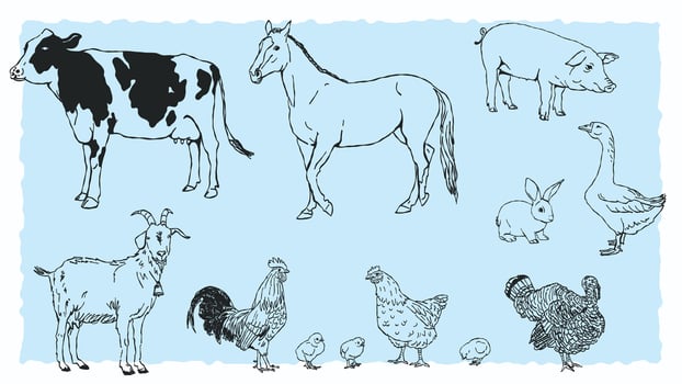 Set of farm animal illustrations in doodle or line art style vector
