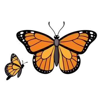 Monarch butterfly illustration vector