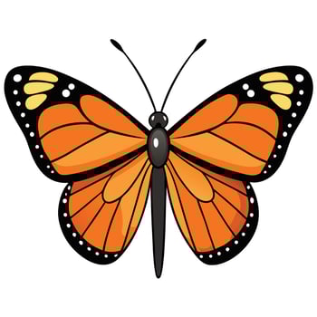 Butterfly Design for Website Graphics vector