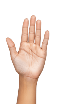 Open hand gesture showing palm with fingers extended on transparent background png