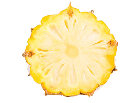 pineapple pattern designs png