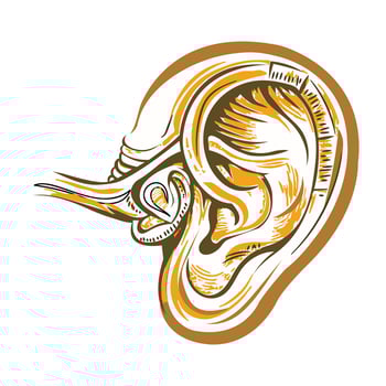 Ear anatomy illustration designed in vintage style vector