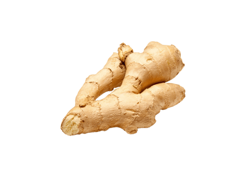Fresh Ginger Root Isolated on Transparent Background png
