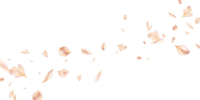 Pastel orange petals falling on abstract floral background with beautiful petal greeting card design. illustration vector
