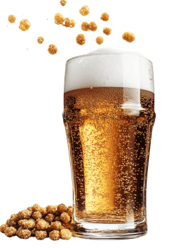 Beer glass with brown snacks on transparent background png