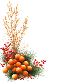 Orange fruits and pine branch corner arrangement on transparent background png