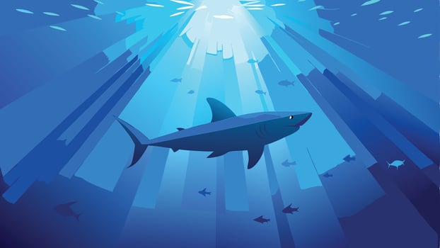 shark underwater illustration vector