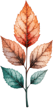 A watercolor drawing of a leaf with red, orange and green leaves png