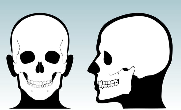 human skull with silhouette head front and side view vector