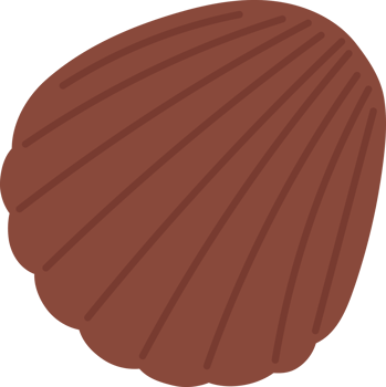 a chocolate brown shell shape png