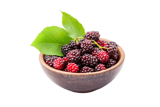 Mulberries in a bowl isolated on a transparent background png
