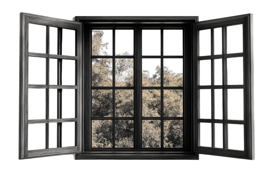 Dark wood window with paned glass and tree view on transparent background png
