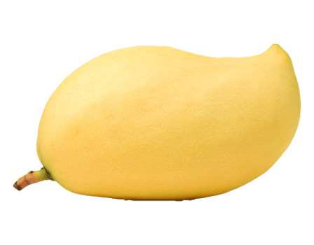 Fresh tropical mango png