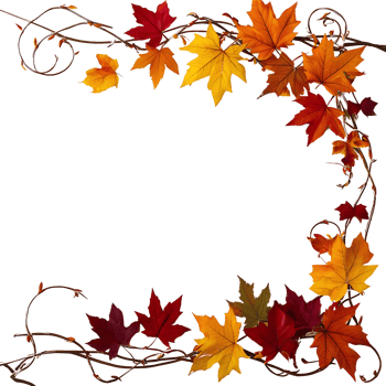 autumn leaves frame with vines and leaves png