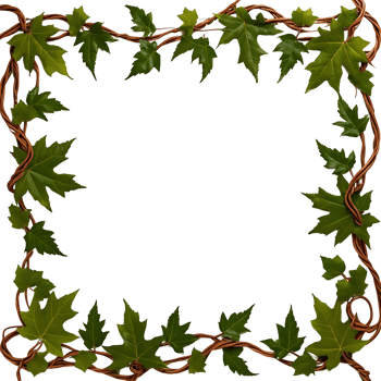 square frame with green leaves and vines png