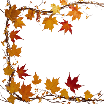 autumn leaves frame png