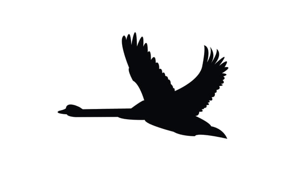 Flying Swan Silhouette vector