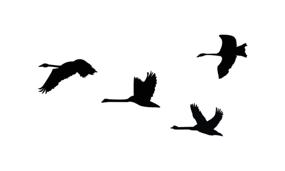 Flying Swan Birds Silhouette Design vector