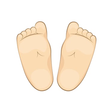 Illustration of a infant soles. feet, sole, body part. vector