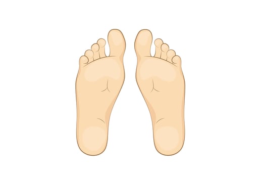 Mans soles. feet, sole, body part. vector