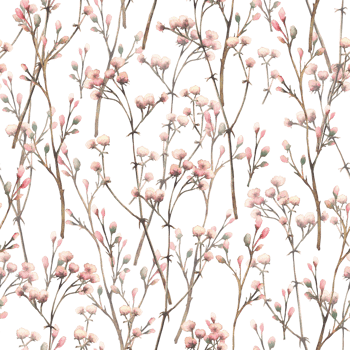 Twig with pink cream buds. Gypsophila flowers watercolor seamless pattern. Pastel coloured dried herbs, dry blades of grass for fabric, wallpaper print isolated from background hand drawn illustration png