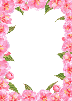Rectangular frame with pink Sakura blossoms and green leaves. Hanami postcard. Clipart. Hand-drawn watercolor illustration png