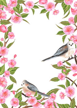 Rectangular frame with blooming Sakura branches and long-tailed . Hanami postcard. Clipart. Hand-drawn watercolor illustration png