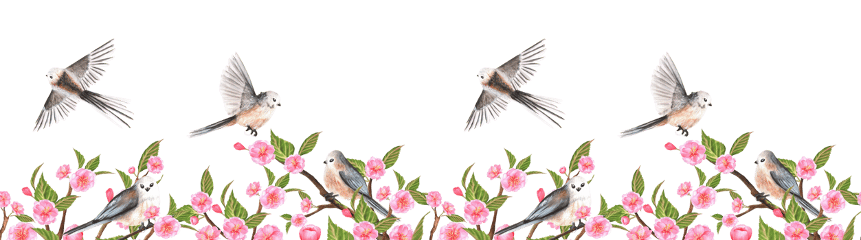 Lower seamless border with Sakura branches and long-tailed tit birds. Hanami. Hand-drawn watercolor illustration. png