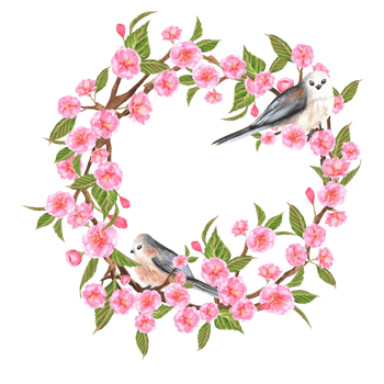 Sakura wreath with birds. Circle frame with blooming Sakura branches and long-tailed . Hanami postcard. Hand-drawn watercolor illustration png