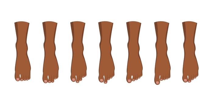 Foot toe shape types set. Human legs. Body forefoot anatomy vector