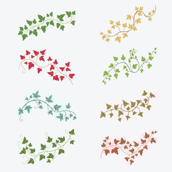 Floral ivy drawing decorative ornament flat design collection. vector