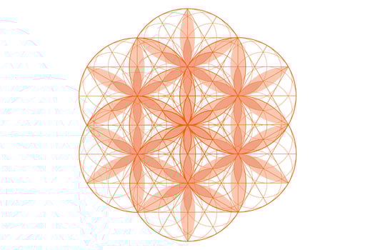 Flower of life, sacred geometry. lotus flower. mandala ornament Seed of Life icon, esoteric or spiritual symbol. Logo line art design isolated on white background, illustration vector