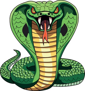 King cobra in threatening stance vector