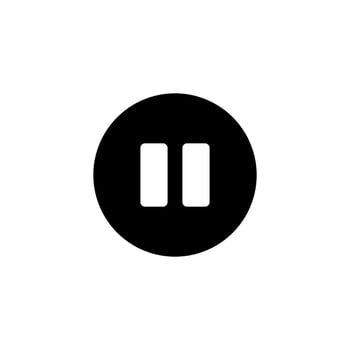 Pause icon. Pause button. Icon. vector