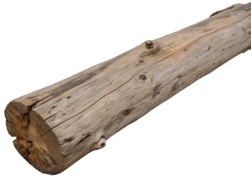Natural Textured Wooden Log Displaying Unique Grain Patterns and Character in a Rustic Setting Perfect for Nature Lovers and Outdoor Decor Ideas png