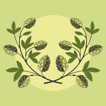 Hop plant for advertising beer and cosmetics vector