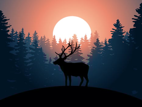 Forest sunset silhouette background with an elk vector