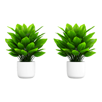 Green Leafy Potted Plants for Home Decor and Interior Design png