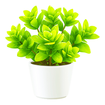 Lush Green Indoor Plant in White Pot for Home Decor and Design png