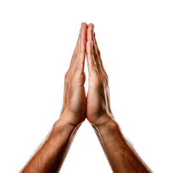 hands of a person png